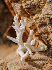 Bague LEMBONGAN (plaqué or/gold plated)